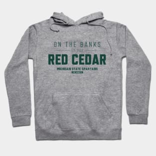 Michigan State - Red Cedar Pride Hoodie